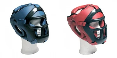 martial head guard with grid