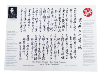 karate kakemono 20 percepts