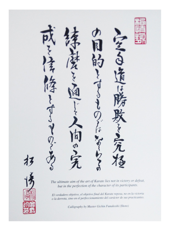 karate kakemono ultimate aim