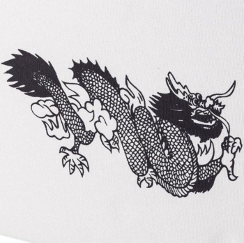 big vanvas makiwara dragon 2
