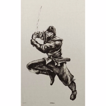ninja poster
