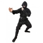 shinobi_shozuku2
