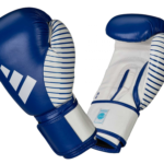 blue leather adidas WAKO competition approved Kickboxing gloves 1