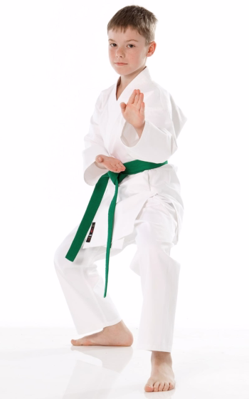 karate tokaido shoshin