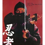 poster ninja bojevnika