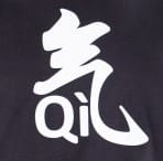 logo qi