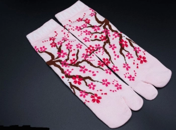 sakura tabi nogavice 2