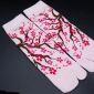 sakura tabi socks 2