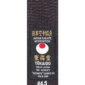 svilen tokaido karate črn pas 2