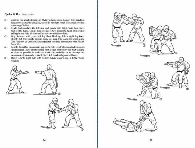 GYOKKO RYU - Bujinkan Budo Densho