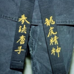 Personalizirano vezenje na pas za borilne veščine