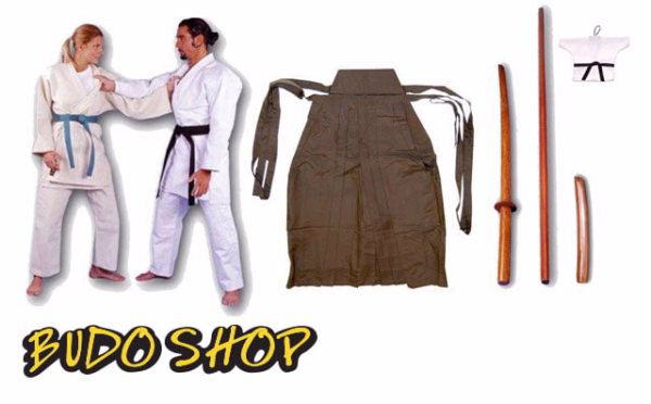 Mojstrski Aikido set