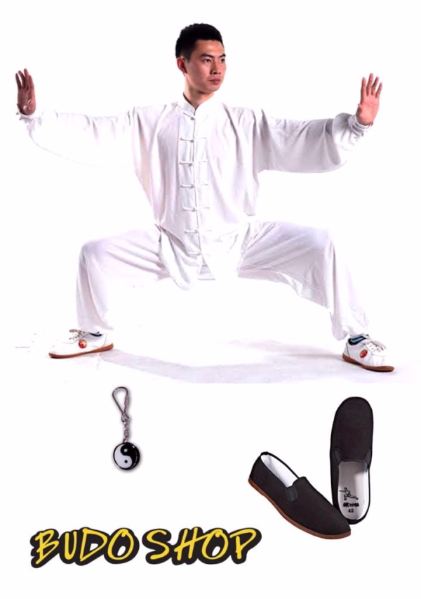 Kung Fu/Tai Chi set I.