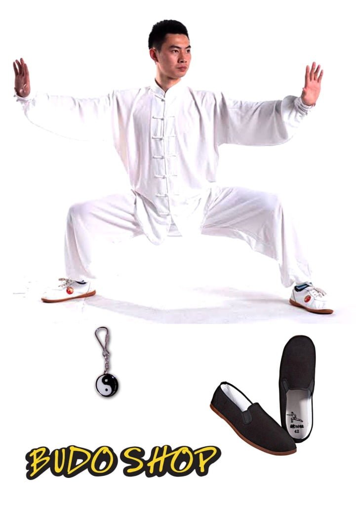 kung fu/tai chi set uniforma copati
