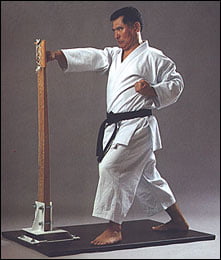 Samostoječa Makiwara ''KARATE-DO''