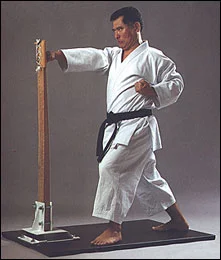 Samostoječa Makiwara ''KARATE-DO''