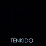 Tenkido - pot do sožitja telesa in duha