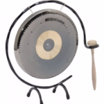 Namizni GONG