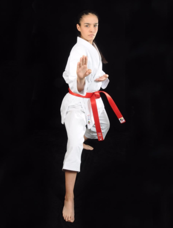Karate Gi (Kimono) ''Kamikaze PREMIER KATA''