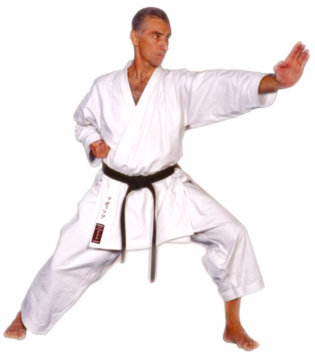 Karate Gi (Kimono) ''Kamikaze SOVEREIGN''