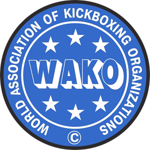 Taekwondo / Kickboxing čelada ''ADI-ZERO'' - V AKCIJI!!!